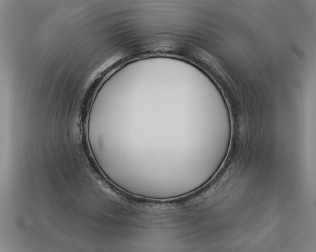 X0000113531018200910161345