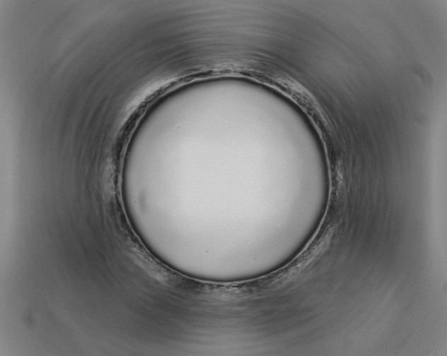 X0000113531019200910161345