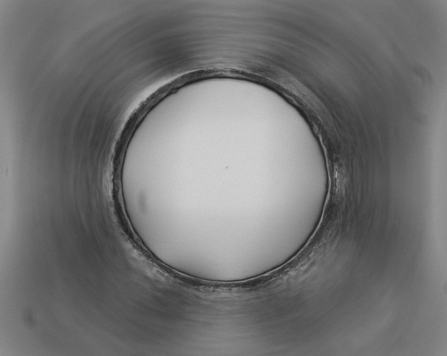 X0000113531020200910161345