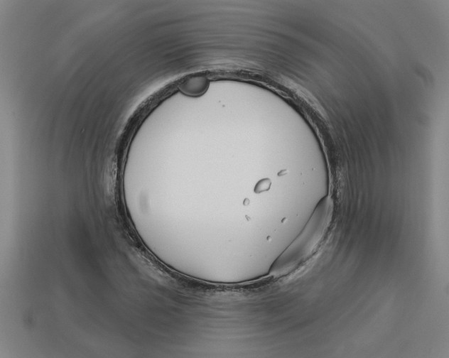 X0000113531021200910161345