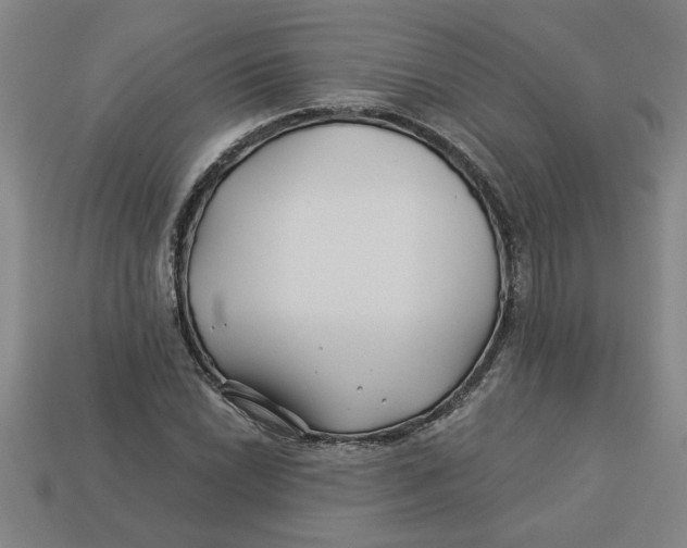 X0000113531022200910161345