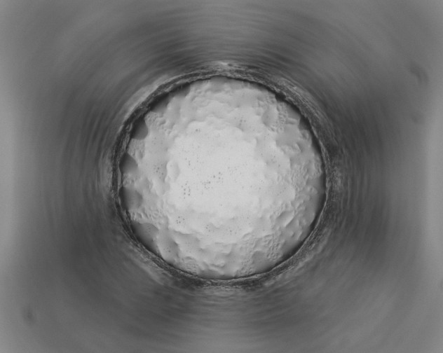 X0000113531023200910161345