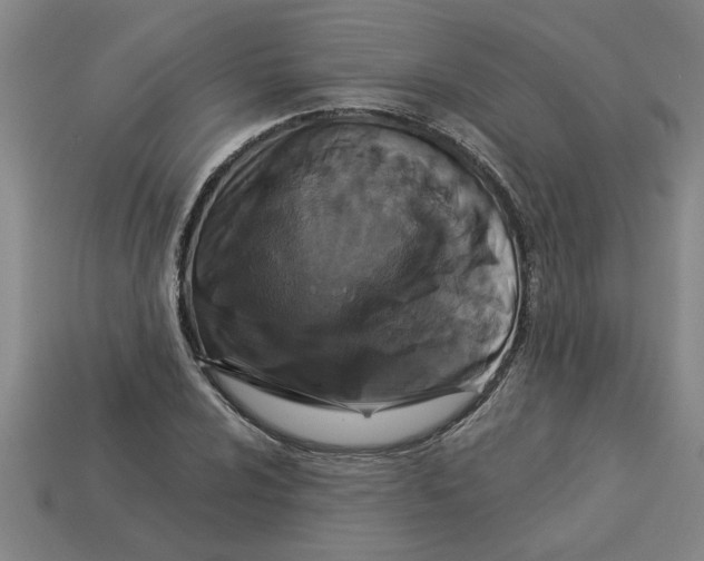 X0000113531024200910161345