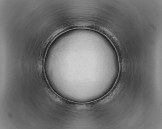 X0000113531025200910161345