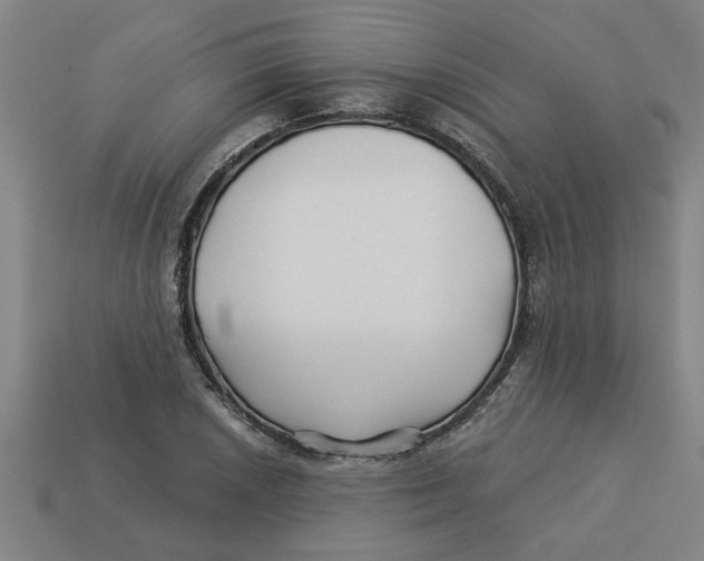 X0000113531026200910161345