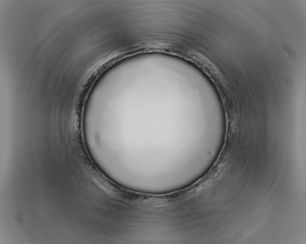 X0000113531027200910161345