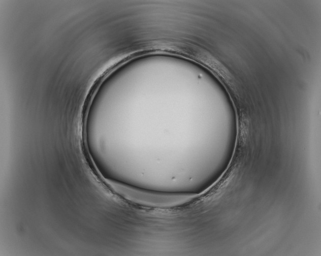 X0000113531028200910161345