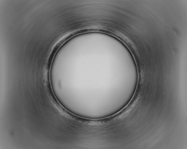 X0000113531029200910161345