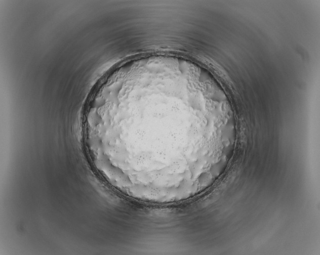 X0000113531031200910161345