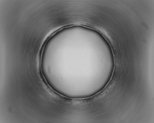 X0000113531032200910161345