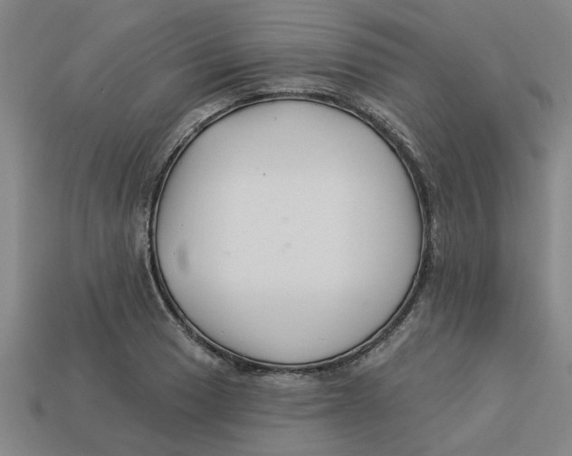 X0000113531033200910161345