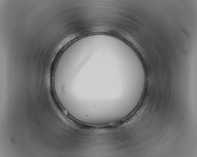 X0000113531034200910161345