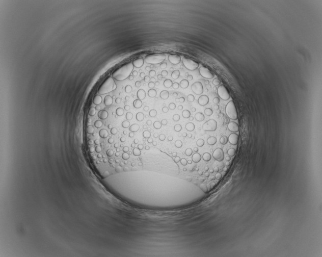 X0000113531036200910161345