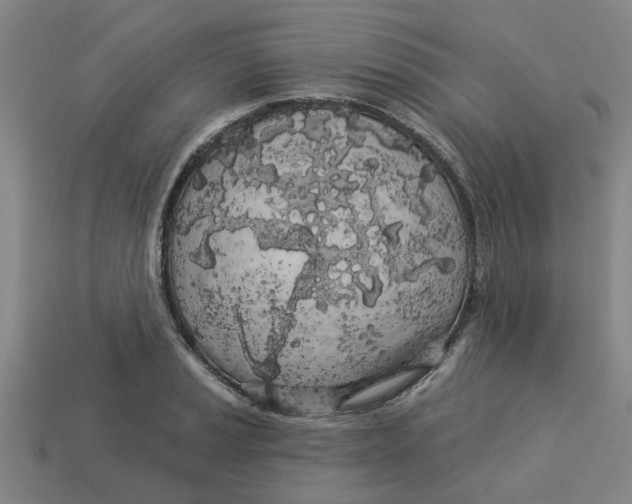 X0000113531037200910161345