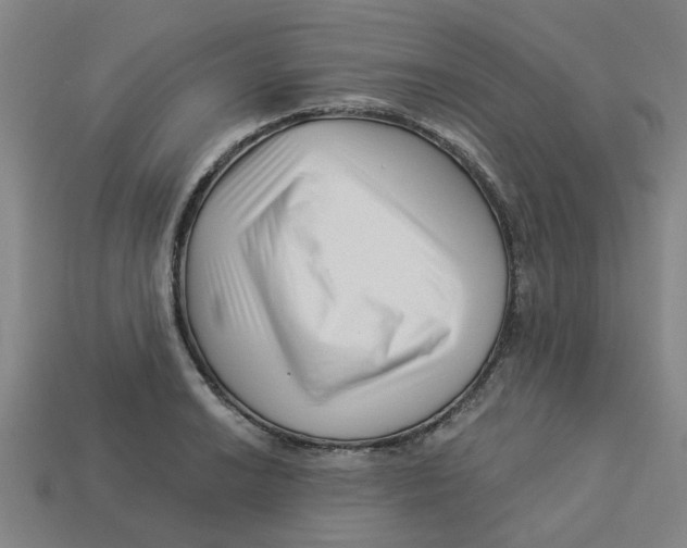 X0000113531038200910161345