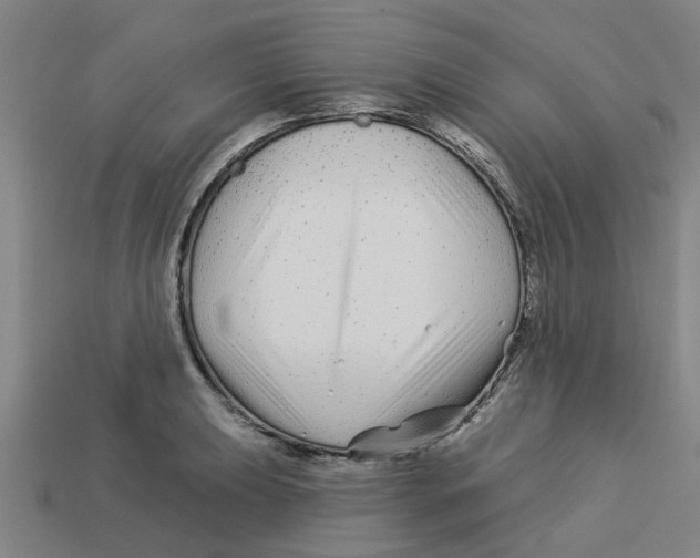 X0000113531039200910161345