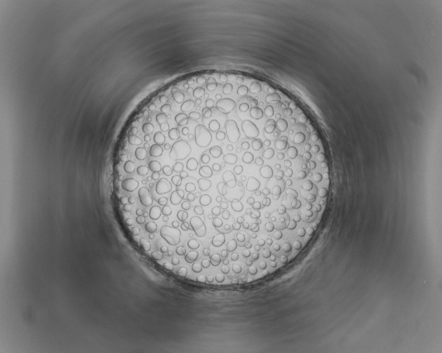 X0000113531040200910161345