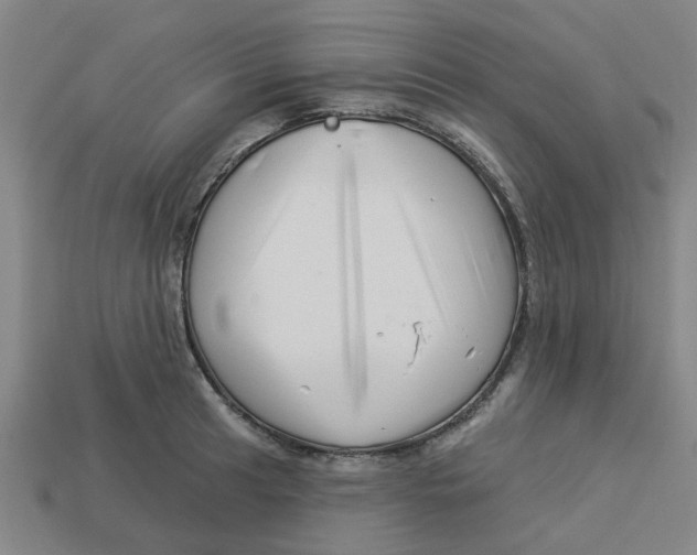 X0000113531041200910161345