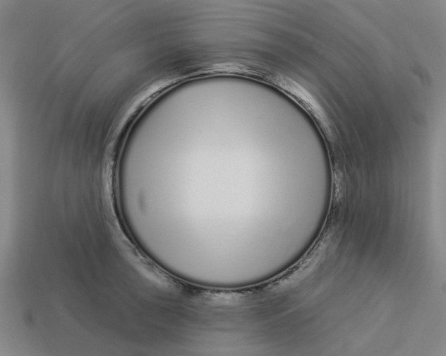 X0000113531043200910161345