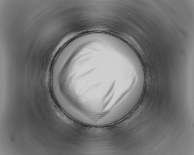 X0000113531044200910161345