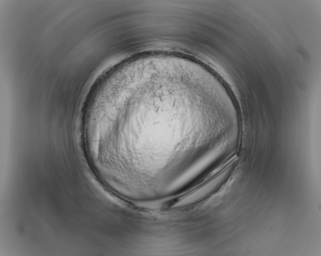 X0000113531045200910161345