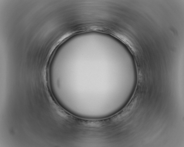 X0000113531047200910161345