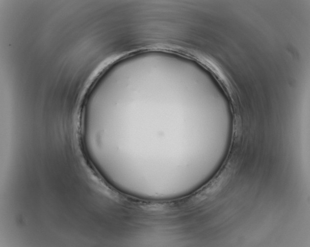 X0000113531048200910161345