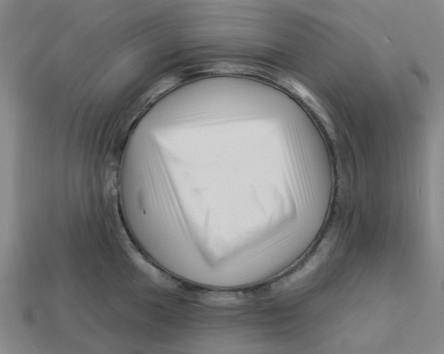 X0000113531049200910161345