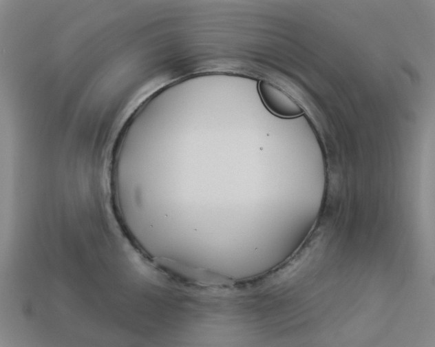 X0000113531050200910161345