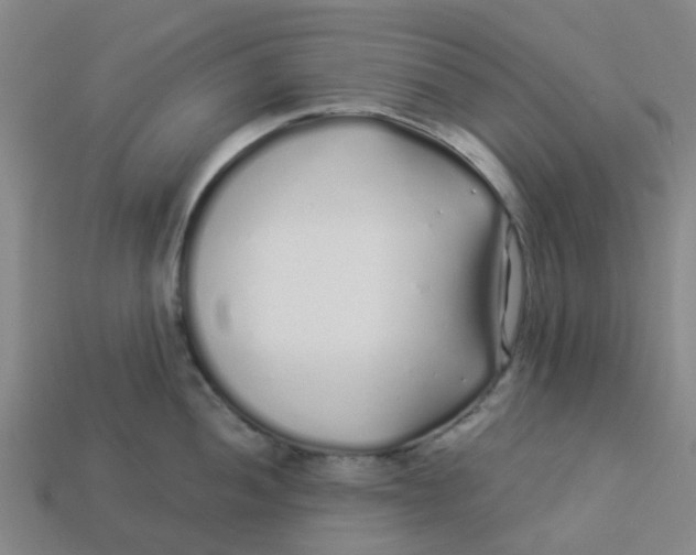 X0000113531052200910161345