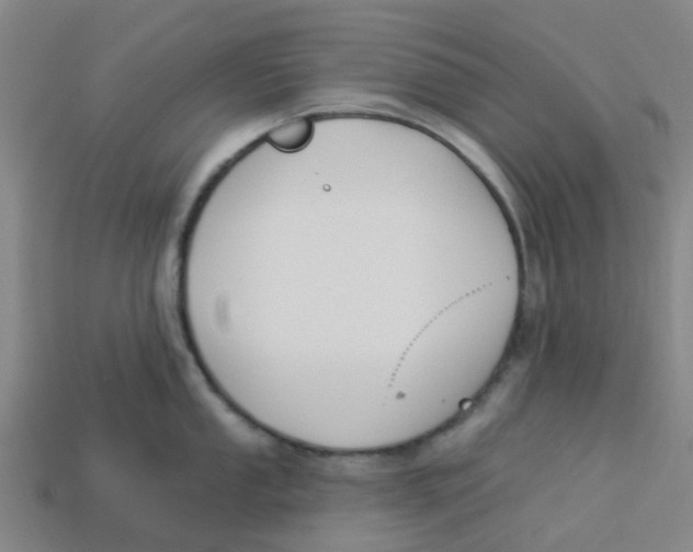 X0000113531053200910161345