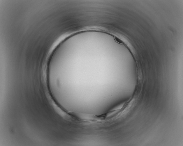 X0000113531054200910161345