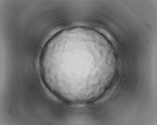 X0000113531055200910161345