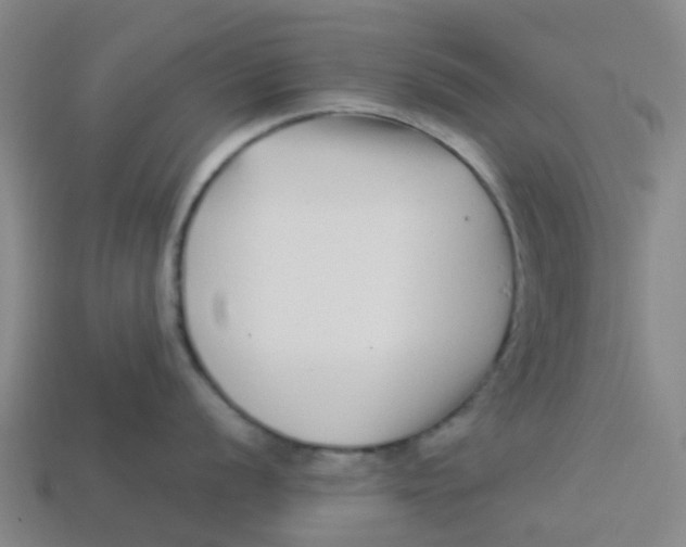 X0000113531056200910161345