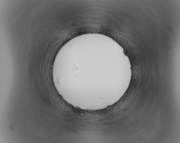 X0000113531057200910161345