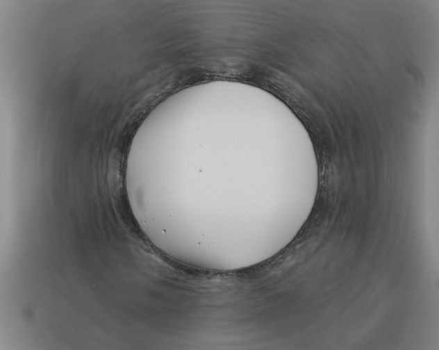 X0000113531058200910161345