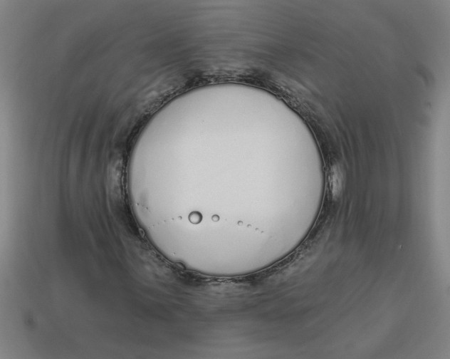 X0000113531059200910161345