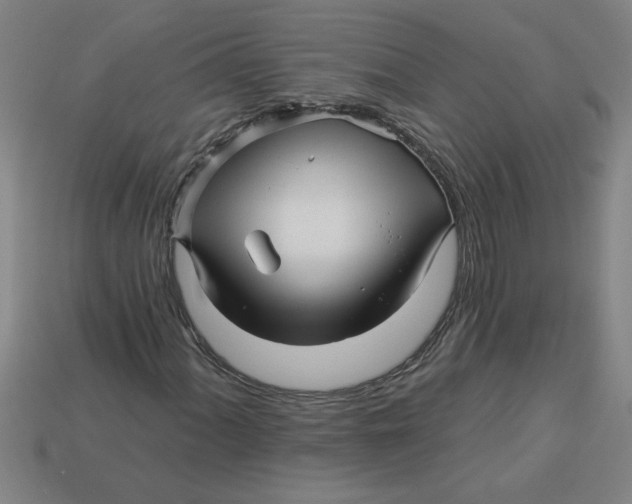 X0000113531060200910161345