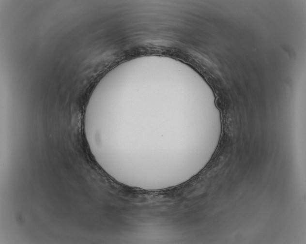 X0000113531061200910161345