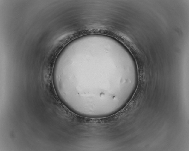 X0000113531063200910161345