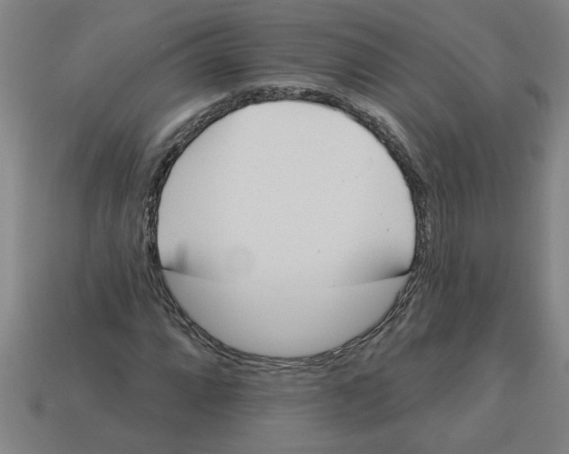 X0000113531064200910161345