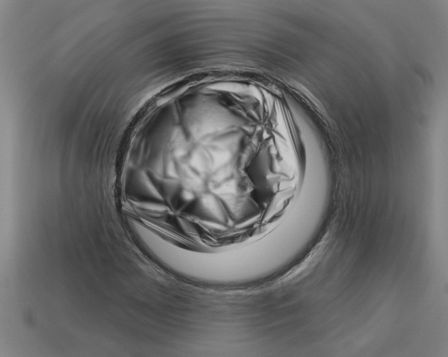 X0000113531065200910161345