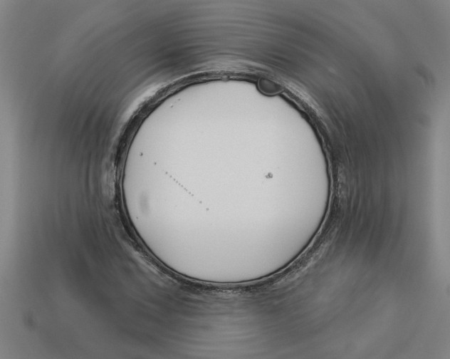 X0000113531067200910161345