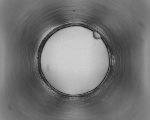 X0000113531068200910161345