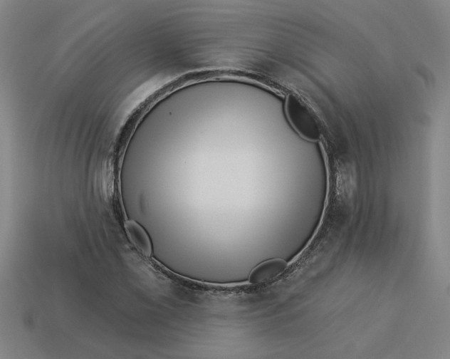 X0000113531069200910161345