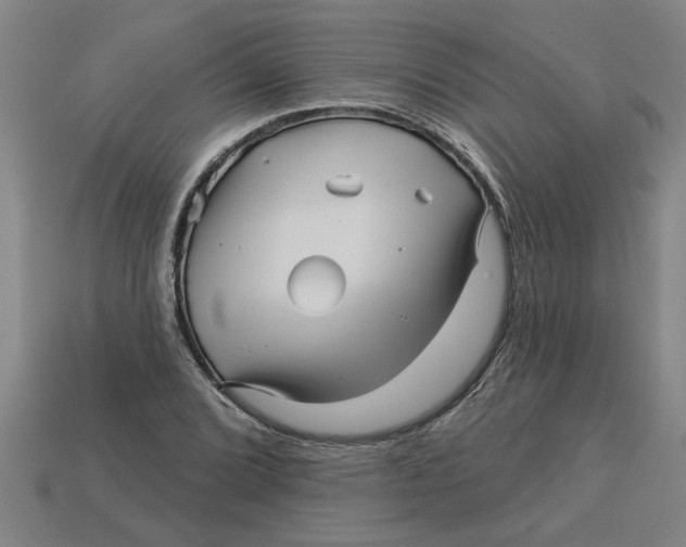 X0000113531072200910161345