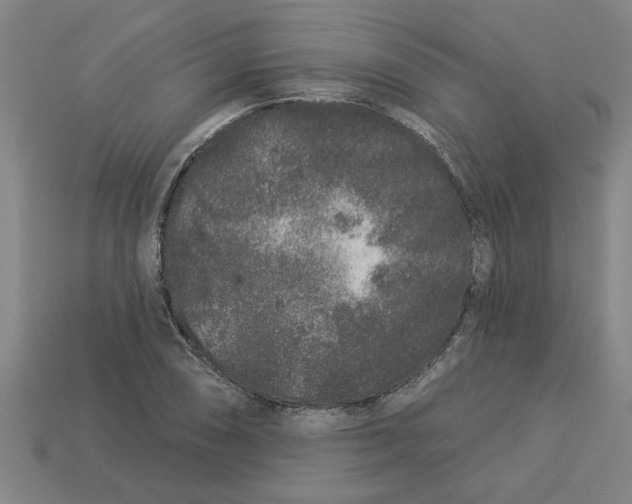 X0000113531074200910161345