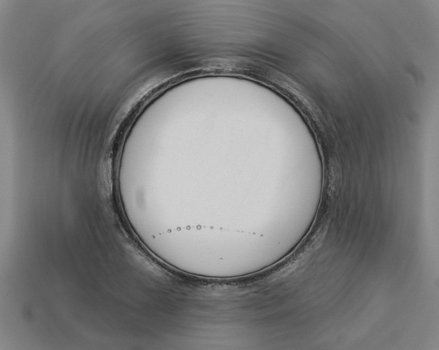 X0000113531075200910161345