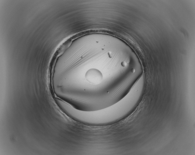 X0000113531076200910161345