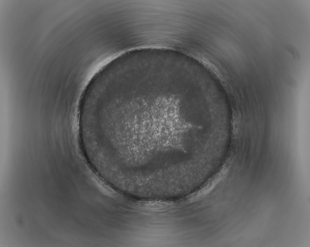 X0000113531077200910161344